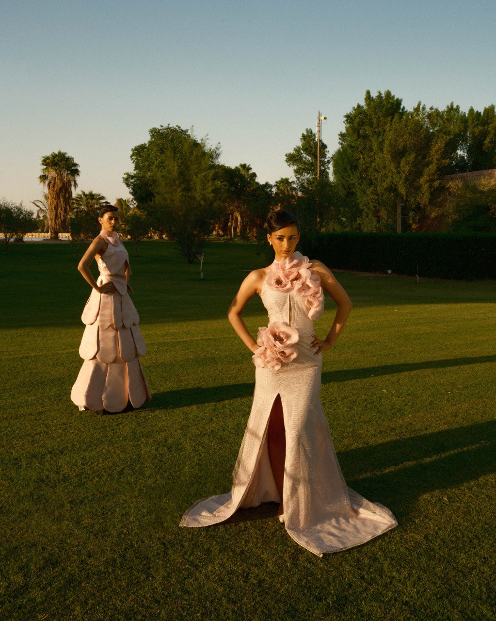 صورة مشروع The Floral Gate 5